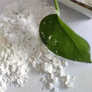 �����Żݹ�Ӧ��� Ϳ��ר�ó������ ��ֽר������̼���