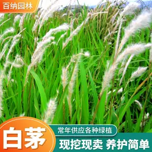 ���� ����԰���̻��� С��ͥԺ�����������۰�é�����Թ�Ӧ