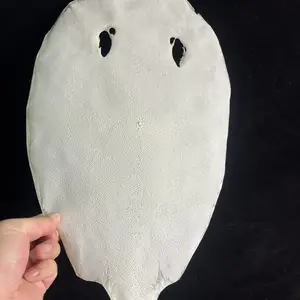 进口珍珠鱼皮黄貂鱼皮魔鬼鱼皮鲛皮剑鞘材料皮杆材料马鞍材料