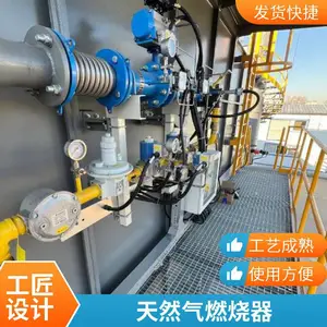 垃圾焚烧炉燃烧器 一次风加热燃烧器 二燃室天然气燃烧器 岱鼎