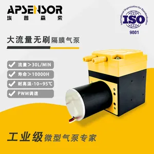 工业微型气泵大流量无刷30L隔膜β气泵AP2430T型工业级别气泵