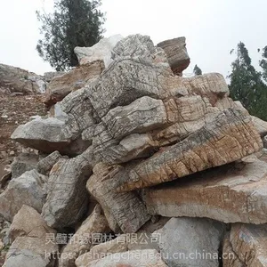 龟纹石 送货上门