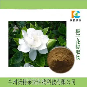 ��Ӧ ��������ȡ��10:1 Ũ���� ��ʳ��ά ����80% ����