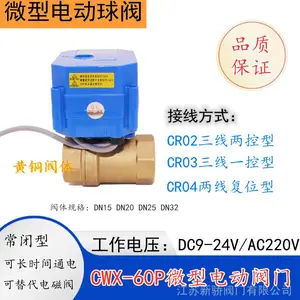 CWX-60P微型电动阀门CWX微型电动球阀