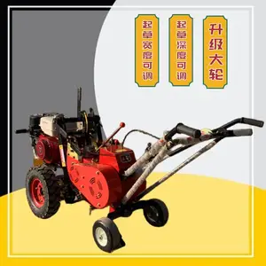 后双轮起草皮机 豪华汽油铲草机 出售25公分宽草坪移植机