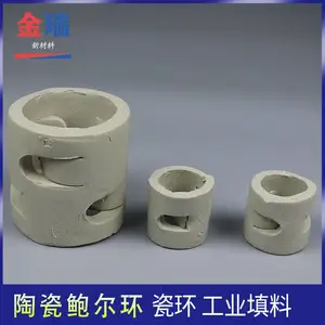 惰性氧化铝填料 陶瓷鲍尔环 尺寸25 38 50mm 塔内填充物