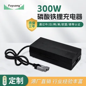 福洋Fuyuang 300W系列磷酸铁锂电池充电器 平衡车充电器 充电器源头厂家