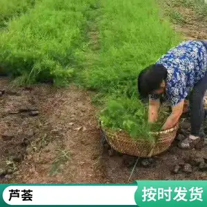 �κ��� 6 ��«������ ������ƽ���� ����ϵ�ӽ�һ�� F1 ����«����