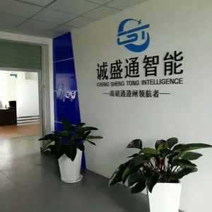 诚盛通信息技术（深圳）有限公司