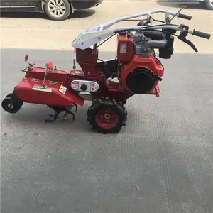 ��԰����С�Ϳ������ݻ� �����ݮ������¢�� ���������ֲ������