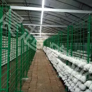培菌网格架-河北晨超(在线咨询)-安庆网格架