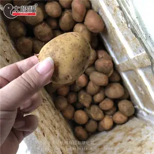 ���ͺ�����ϴȥƤ��/�ǻ�����/ʳƷ�����������/֧�ֶ���