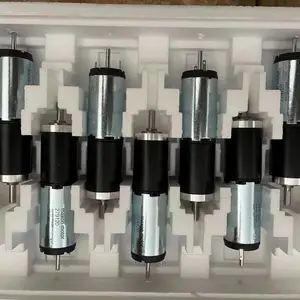LAM Technologies步进电机DS3044用于制药行业使用