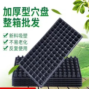 葵花育苗盘 PET蔬菜瓜果育秧盘 540×280黑色塑料72孔穴盘 金泰诺