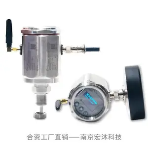 德国汉姆HM110 物联网LoRa NB-IoT 4G WiFi 无线温度传感器