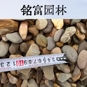 污水处理1-3cm鹅卵石滤料 抗压无粉尘 源头厂家直供