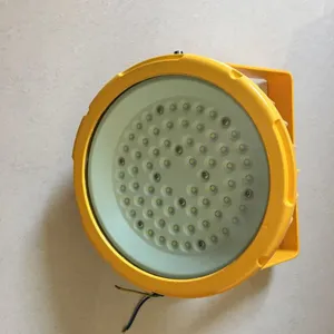 LED免维护防爆灯 30W防爆灯 60W防爆灯