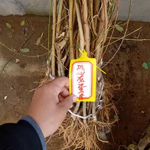 1�������������Ǯһ�� ������������