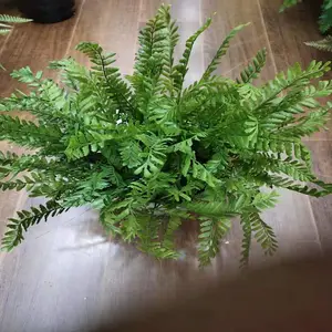 �����ٻ�_���滨����_ӣ����