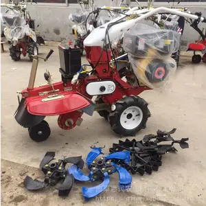 ���ͷ���186�Ϳ��������� ������ֲ������¢�� ������