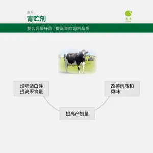甘肃宁夏青贮发酵剂 复合乳酸杆菌100亿每克 同型异型发酵相结合