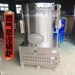 烘干中药材蜂蜜加工食堂蒸饭医疗制药蒸汽不锈钢燃气蒸汽发生器