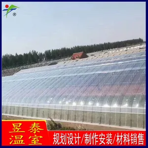 ��̩ �չ�����10�׿�ȱ���ů�� �߲���ֲ��Ĥ���� YTWSRG11034A