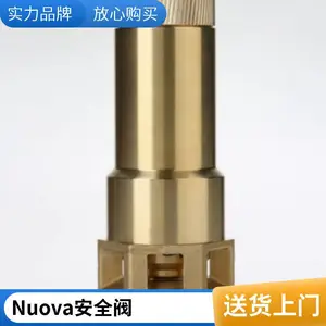 Nuova General��ȫ��D10/CS����022631743��������ѹ������