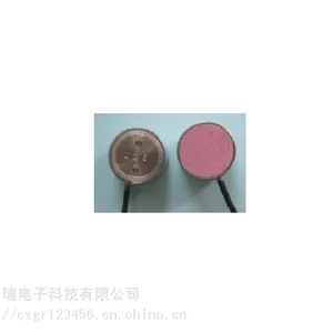 电阻式渗压计