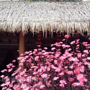 重庆幼儿园建筑围挡、仿真稻草、绿色草坪、人工草坪直销
