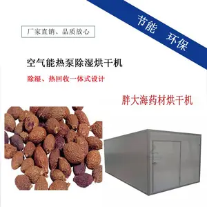 胖大海烘干房 鸦胆子烘干机 使君子烘干箱 省电智能药材干燥机 大小可定制