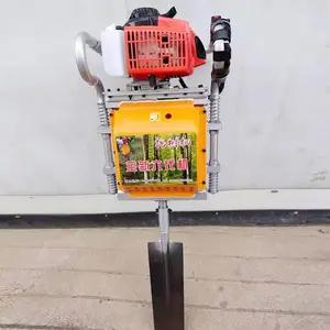 ����ʽ��ֲ������ ������������� �����������ϸ���
