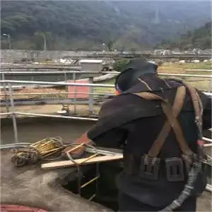 徐州潜水作业施工 施工团队经验丰富