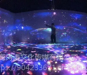 ���ݻ�������ARͶӰ�豸����