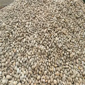 大号鹅卵石 变压器鹅卵石 荣茂人工湖铺鹅卵石