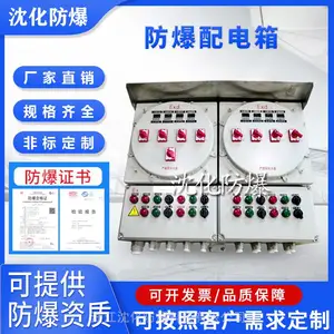 带按键操作防爆仪表箱 IIC级接线控制箱 IP65照明动力配电箱