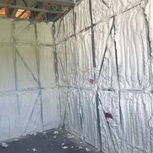 �㶫�۷����� �����������о۰�����Ϳ�� �������²���