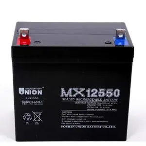 UNION��������VT1255 ��ѹ����12V5***H����ֵ�ŵ���