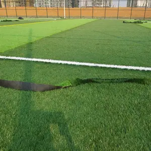 ����ר������� ��ɫ�����������ؽ��軧����