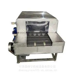 德宁 油炸食品输送线 不锈钢网带输送机 定制炸带鱼传送带