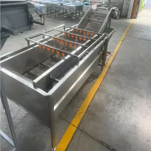 葡萄干气泡清洗机虾仁扇贝清洗设备陈皮柑橘沙糖桔清洗沥水风干线