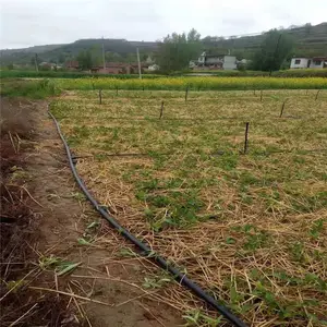 �ز���ת��ͷ��װ ũ������ͷ΢�� ũҵ����������賤��