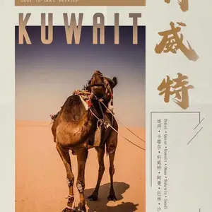快递发科威特空运发科威特国际物流发科威特出口双清包税门到门服务