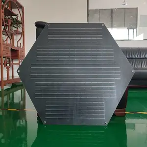 广东晶天103W异形光伏组件 PET层压板 软体单晶硅 公园光伏景观