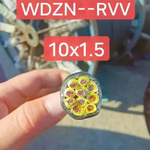 ���ݴ���������RVVSP