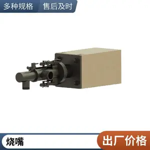 设计RTO废气焚烧炉燃烧器 柴油烧嘴 轻油烧嘴裂解气烧嘴 岱鼎燃烧