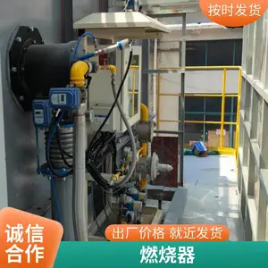 天然气熔铝炉燃烧器 天然气熔炼炉烧嘴 低氮燃烧喷嘴 岱鼎