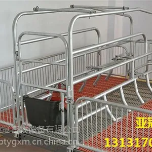 亚冠YG-1母猪双体产床出售