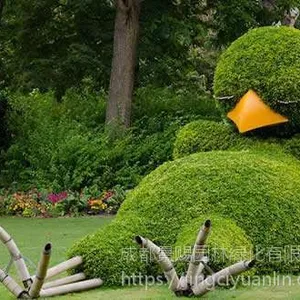 �ɰ��ɼ�ֲ���̵�������� ����С�����͵�������������
