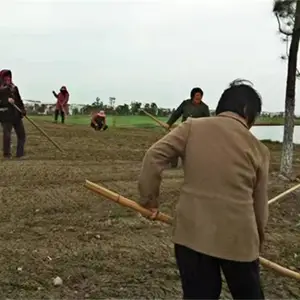 �������ҳ�����ֲ��ѳ������������̻����Ѳ�����